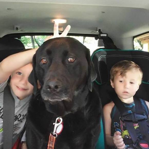 Meet your Posher, Laura lee - Picture 1 of 1